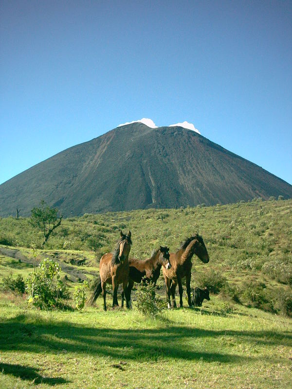Vulkan Pacaya Guatemala