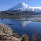 Vulkan Parinacota 6348m und Laguna Chungara