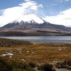 Vulkan Parinacota und Lago Chungara