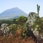 Vulkan - Pico - Azoren