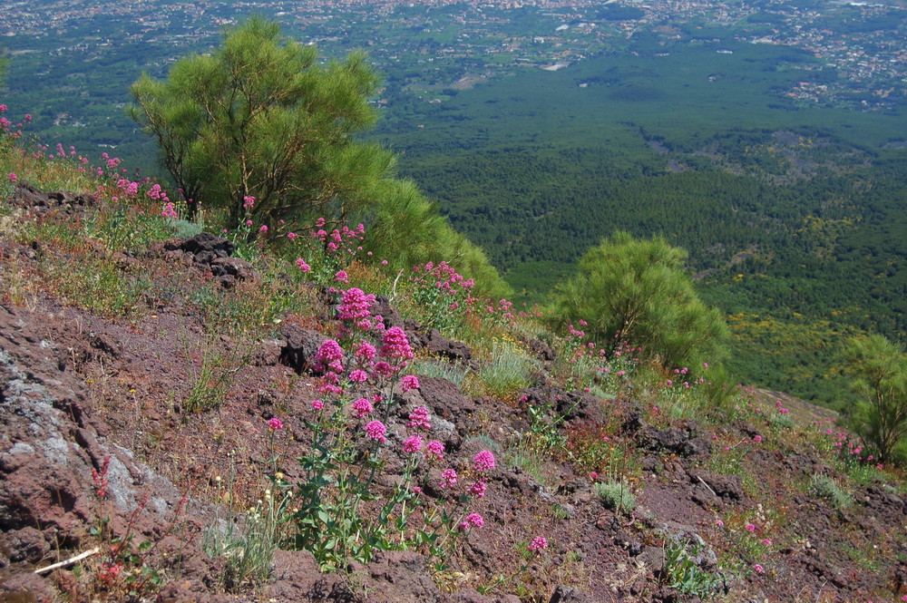 Vulkanabhang