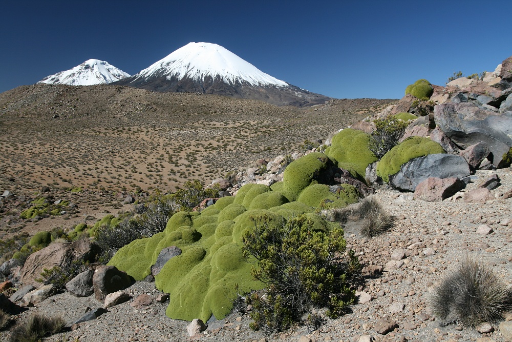 Vulkane im Lauca NP (Chile)