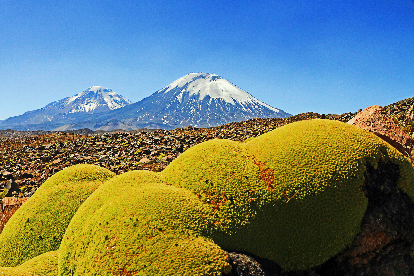 Vulkane Parinacota und Pomerape, Lauca Nationalpark, Chile