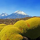 Vulkane Parinacota und Pomerape, Lauca Nationalpark, Chile