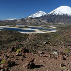 Vulkane Pomerape und Parinacota