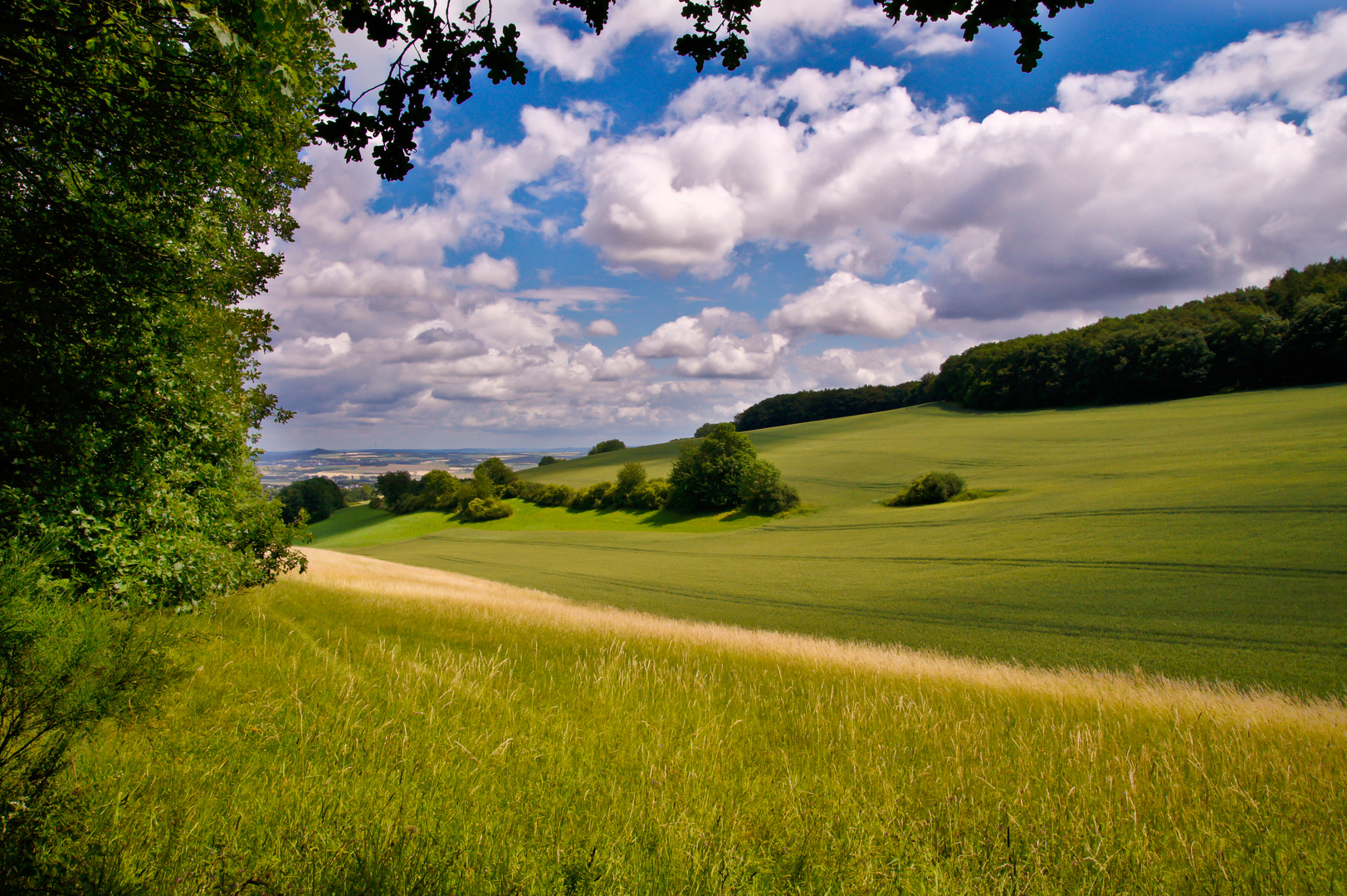 Vulkaneifel