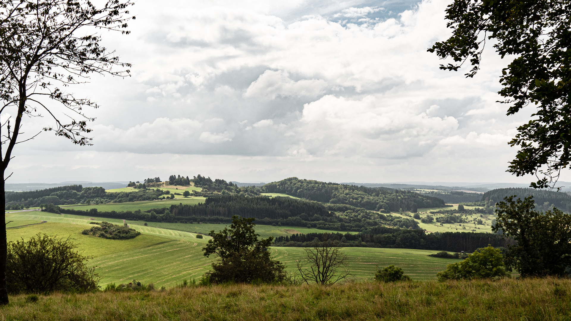 Vulkaneifel