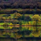 Vulkaneifel im Herbst