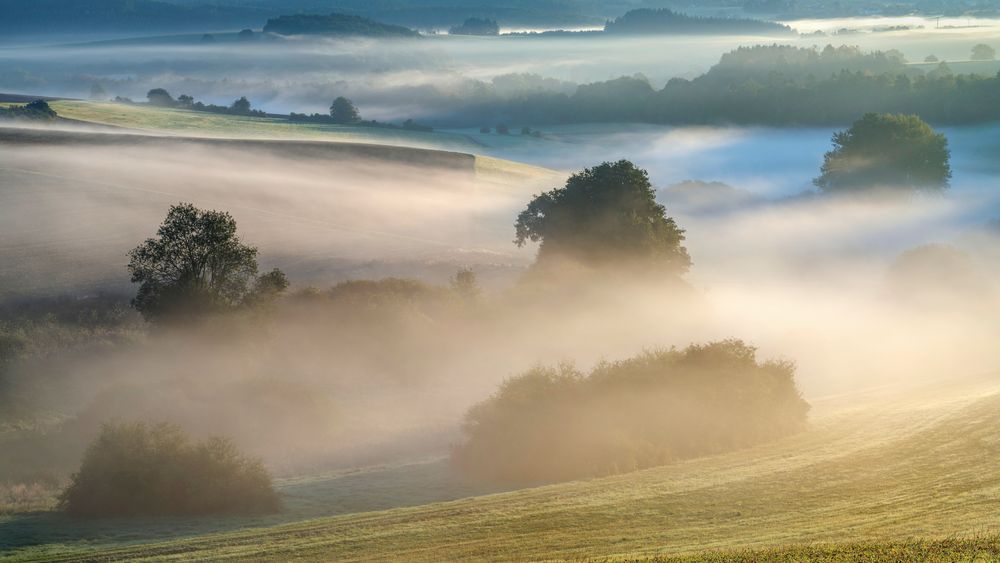 *Vulkaneifel im Septembernebel*