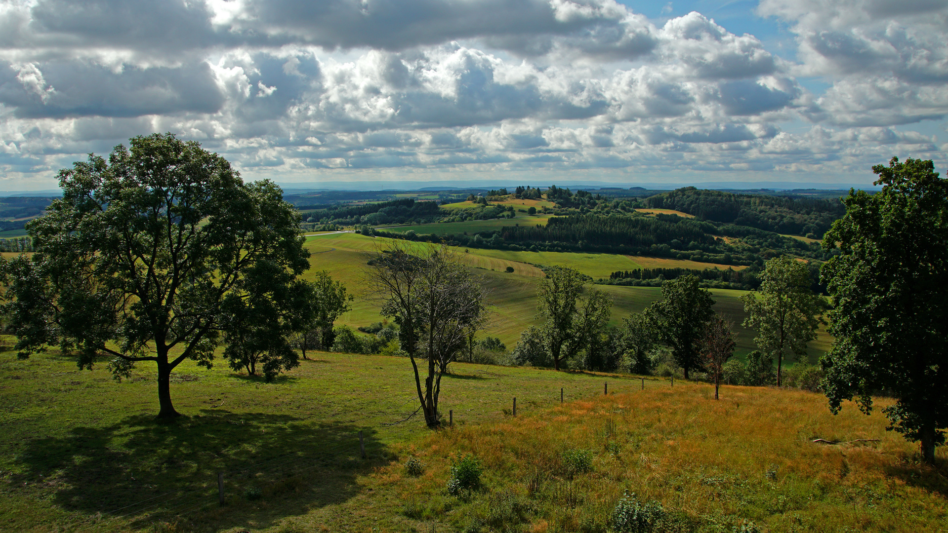 Vulkaneifel, Maar