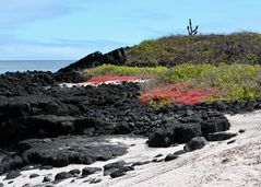 Vulkaninsel