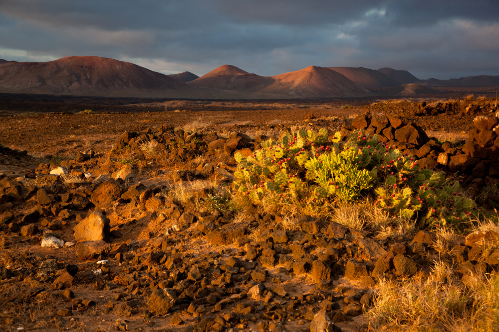 Vulkanische Landschaft