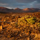 Vulkanische Landschaft