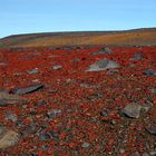 Vulkanisches Farbenspiel / Island Zentral Hochlandimpression