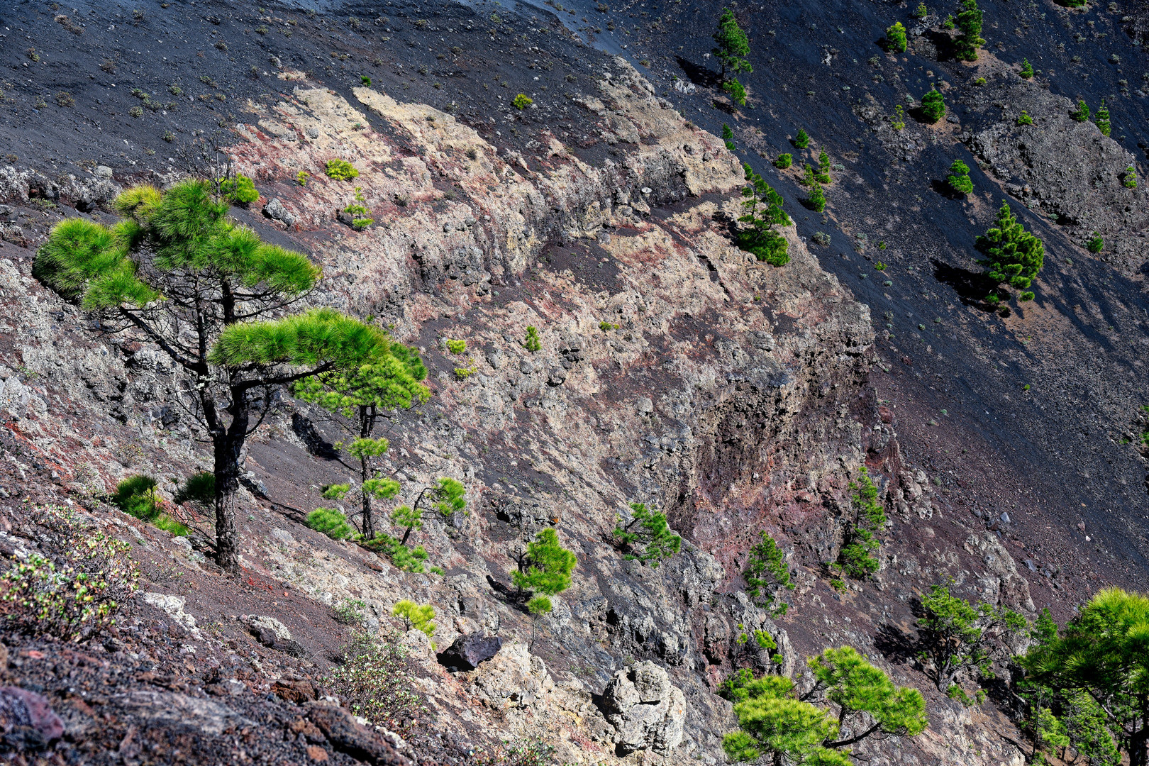 Vulkankrater San Antonio, La Palma