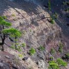 Vulkankrater San Antonio, La Palma