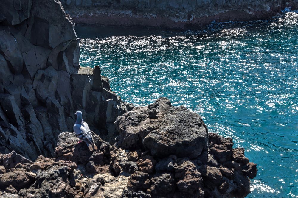 Vulkanküste und Meereshöhlen, Lanzarote