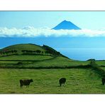 Vulkanlandschaft auf den Azoren