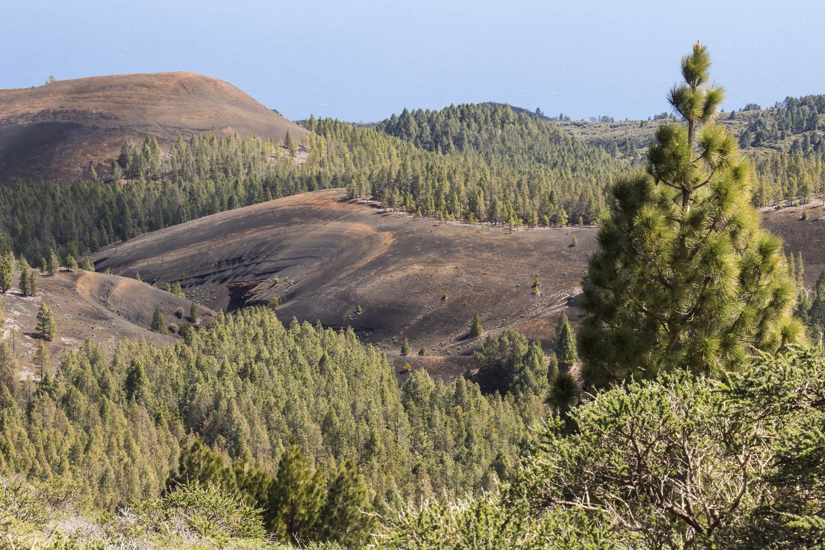 Vulkanlandschaft auf der Insel La Palma