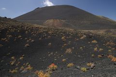 Vulkanlandschaft auf La Palma