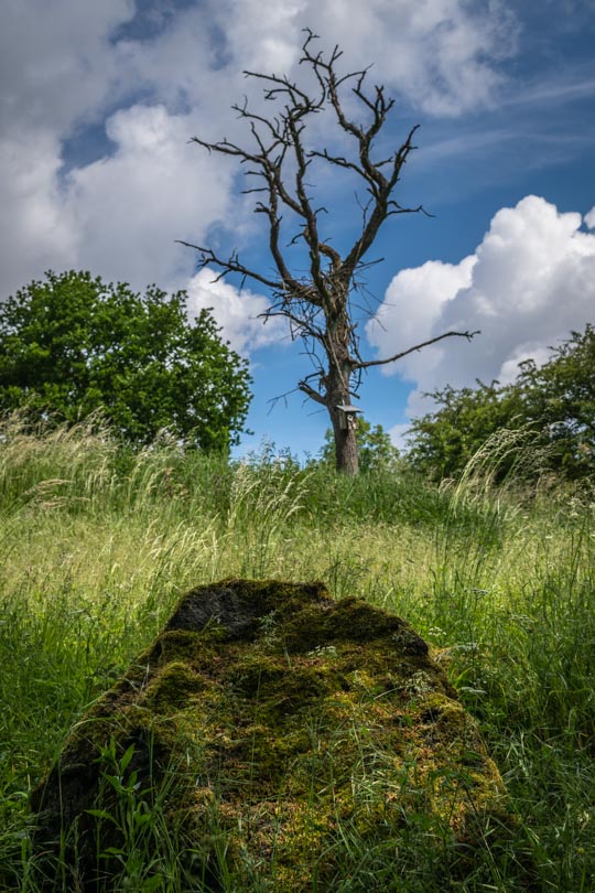 Vulkanlandschaft