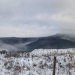 Vulkanlandschaft der Eifel (1)