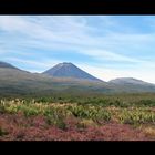 Vulkanlandschaft im Tongariro-Nationalpark