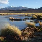 Vulkanlandschaft in der Atacamawüste