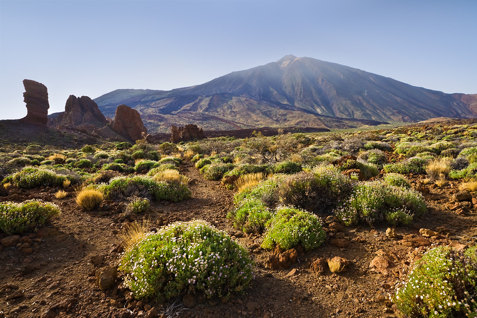 Vulkanlandschaft mit Teide auf Teneriffa