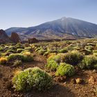 Vulkanlandschaft mit Teide auf Teneriffa