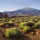 Vulkanlandschaft mit Teide auf Teneriffa