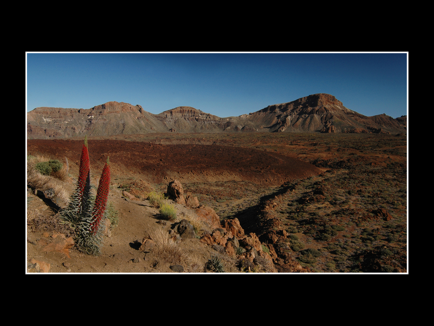 Vulkanlandschaft-Teneriffa