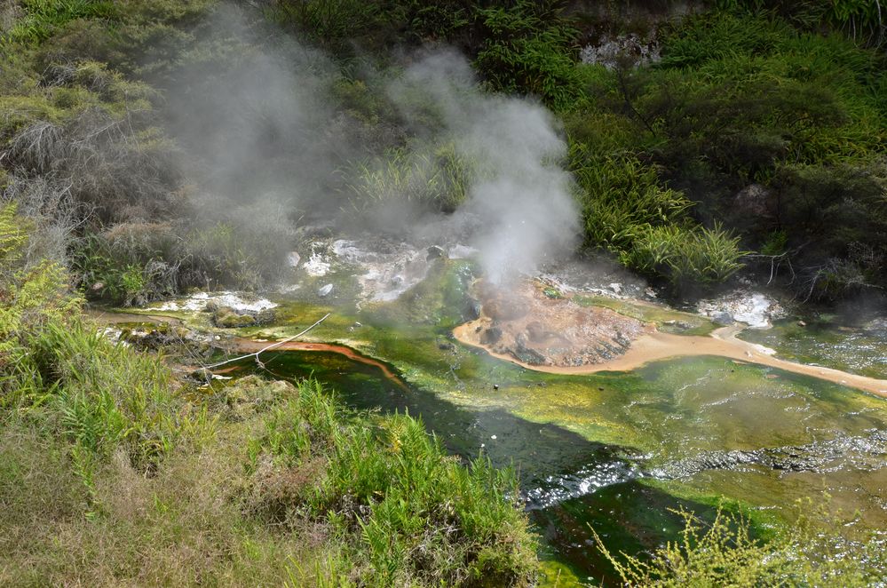 Vulkanlandschaft Waimangu Valley Neuseeland