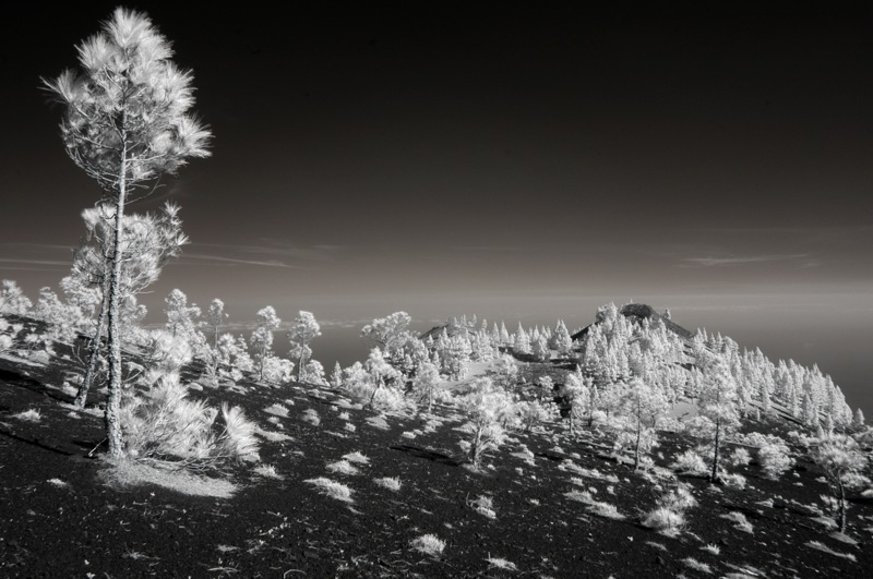 vulkanroute la palma