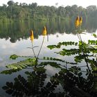 Vulkansee bei Banlung, Nordost-Kambodscha