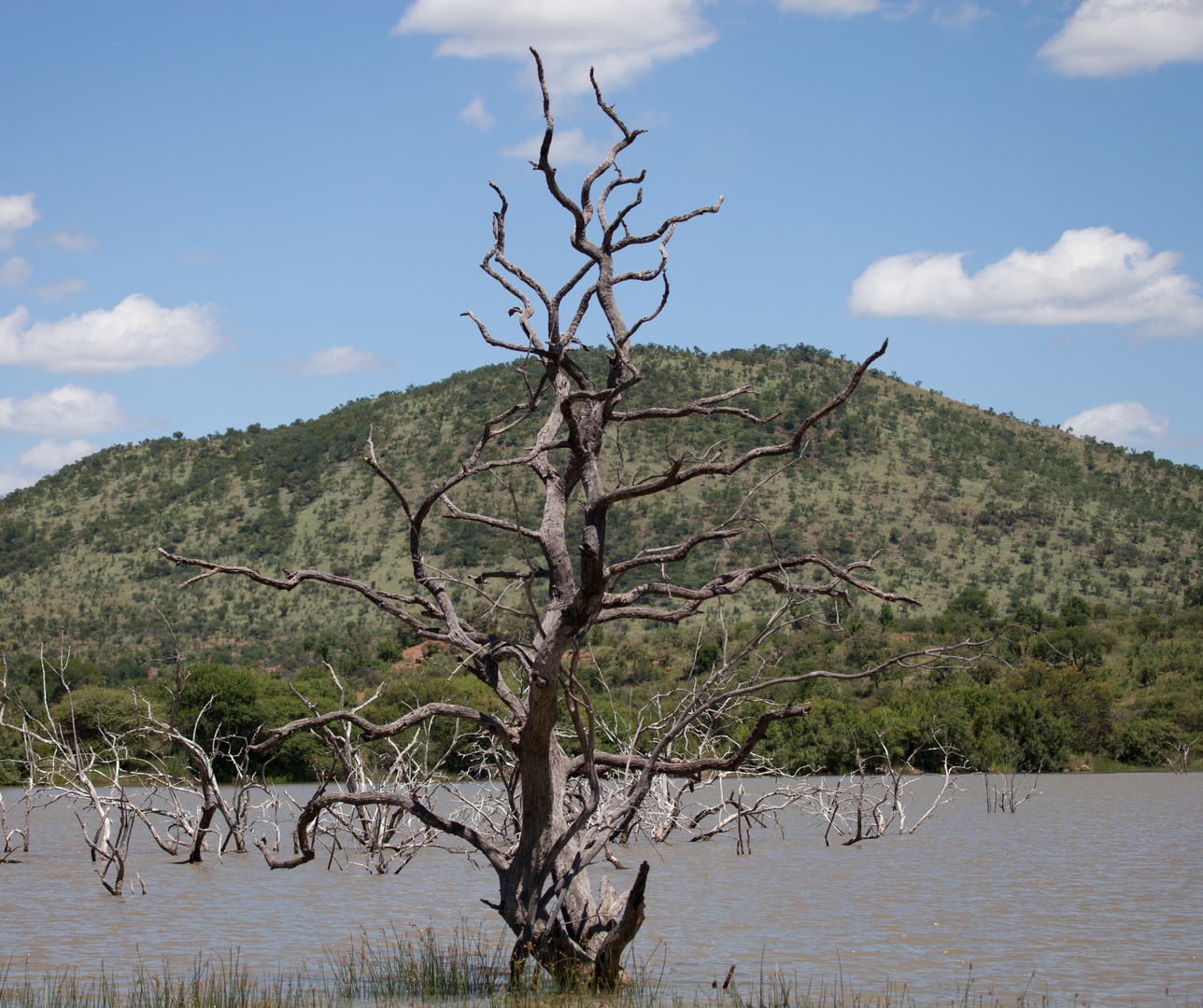 Vulkansee im Pilanesberg