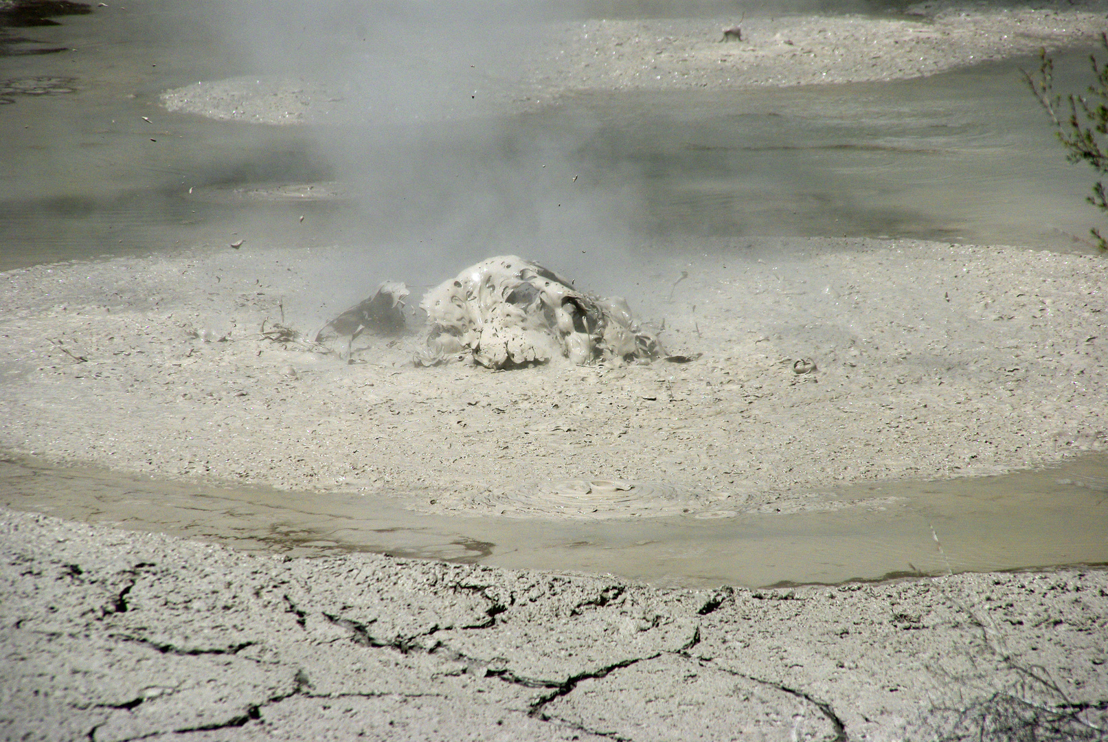 Vulknische Aktivitäten, Schlamm-Maske ( Roturua, Neuseeland )