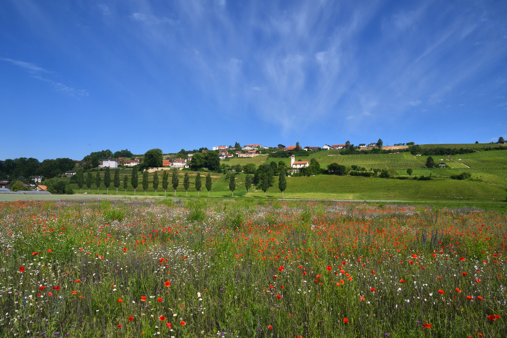 Vully-les-lacs