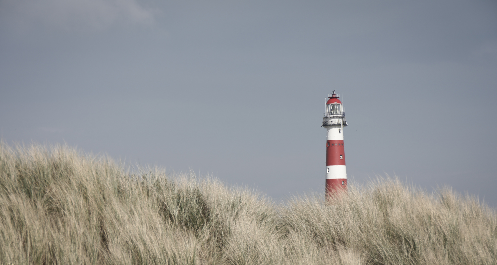 Vuurtoren