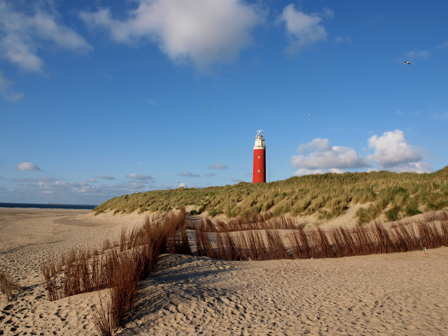 Vuurtoren Texel