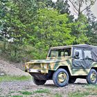 VW 183 Iltis