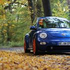 VW Beetle 1.8t Tuning - Blau Orange - Herbst