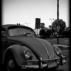 VW BEETLE