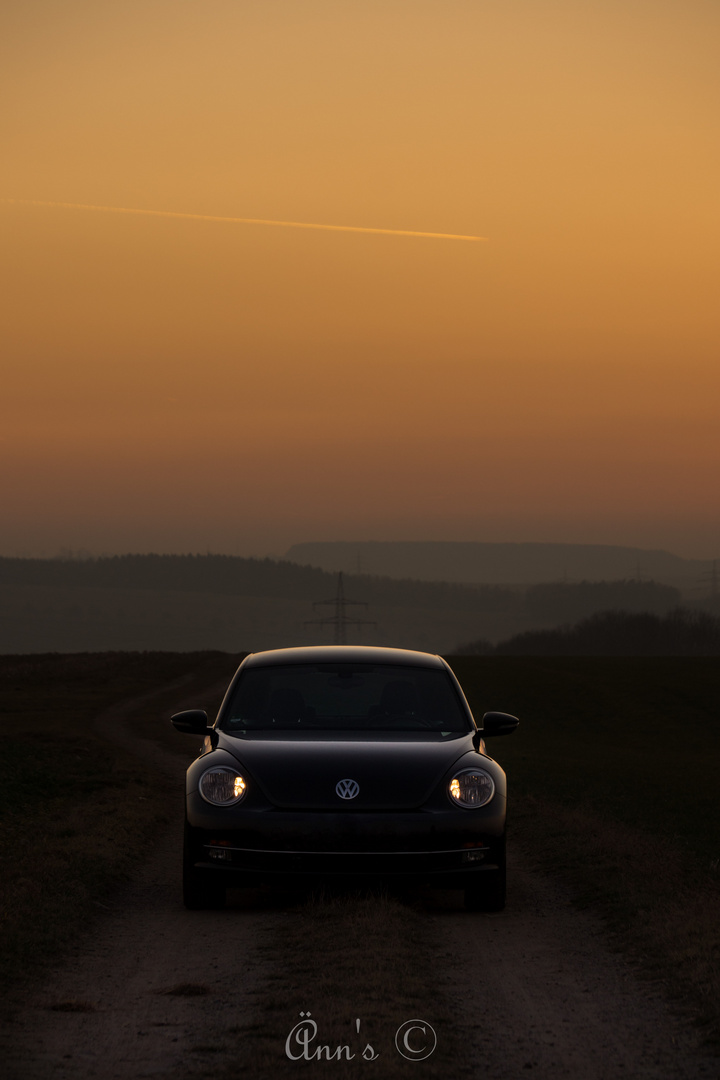 VW Beetle bei Dämmerung