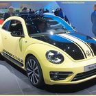 VW Beetle GSR