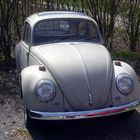 VW Beetle | VW Käfer