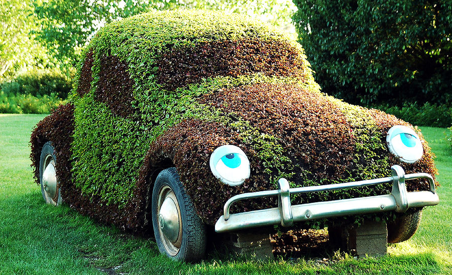 VW-Blumenkäfer