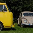 VW Bulli + Käfer