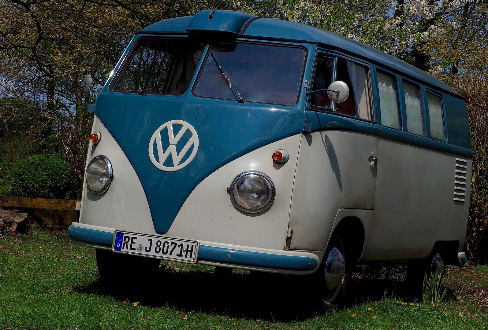 VW Bully T1