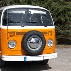 VW Bus Front